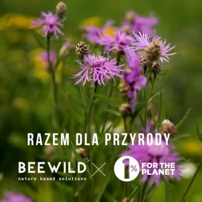 Łąka świeża z trawami miniaturka 7