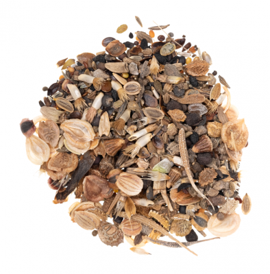 Kwiaty i zioła wieloletnie miniaturka 6