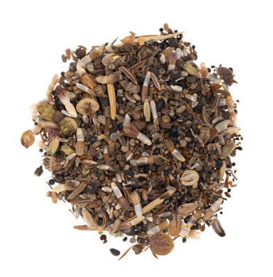 Łąka dla motyli wieloletnia miniaturka 6