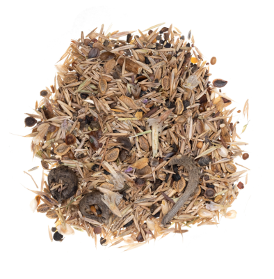 Łąka niska na suche tereny wieloletnia miniaturka 5