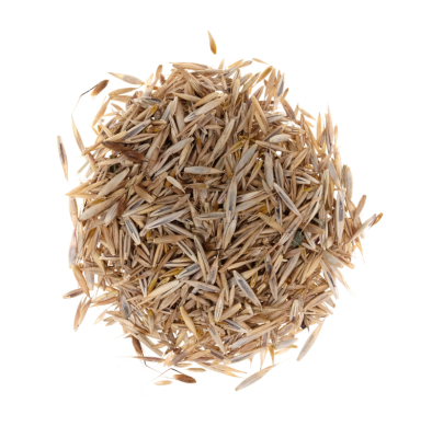 Trawnik z kwiatami wieloletni miniaturka 3