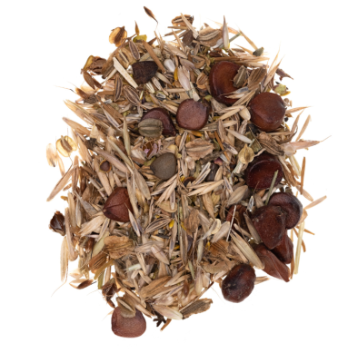 Łąka na wilgotne tereny wieloletnia miniaturka 6