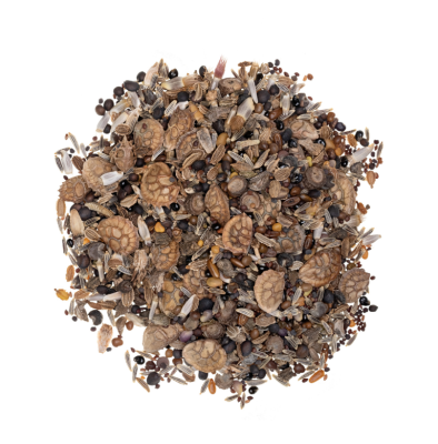 Łąka pszczelarska wieloletnia miniaturka 5