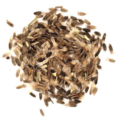 Chaber driakiewnik miniaturka 2