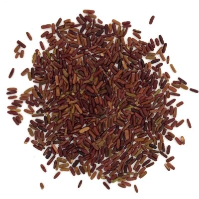 Cieciorka pstra miniaturka 2