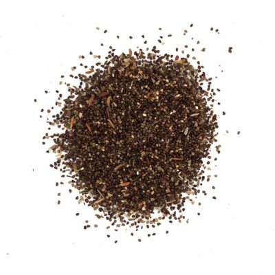 Dziewanna pospolita miniaturka 2