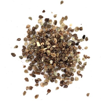 Farbownik lekarski miniaturka 2