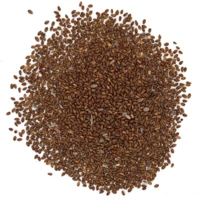 Głowienka pospolita miniaturka 2