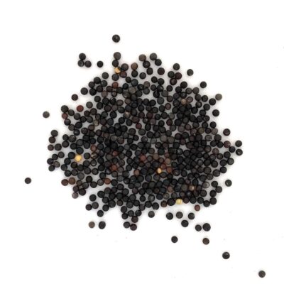 Gorczyca polna miniaturka 2