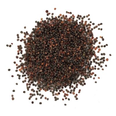 Lepnica czerwona miniaturka 2