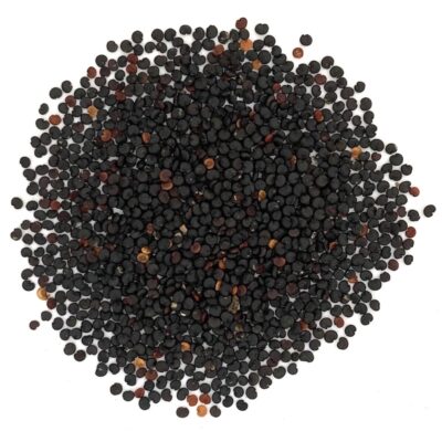 Mydlnica lekarska miniaturka 2