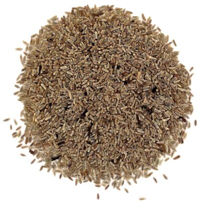 Złocień właściwy miniaturka 2