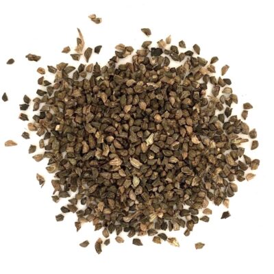 Żmijowiec zwyczajny miniaturka 2