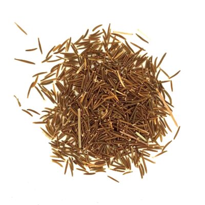 Brodawnik jesienny miniaturka 2