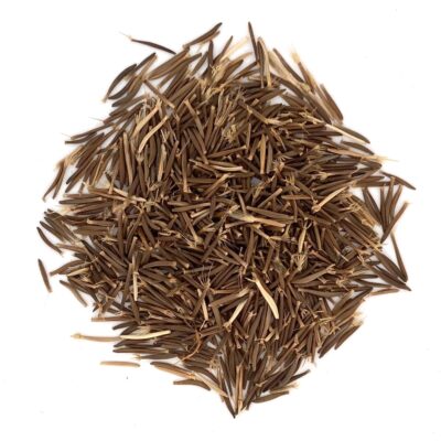 Brodawnik zwyczajny miniaturka 2