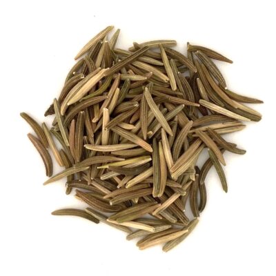 Kozibród łąkowy miniaturka 2