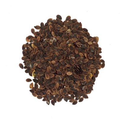 Len austriacki miniaturka 2