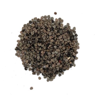 Ślaz piżmowy miniaturka 2