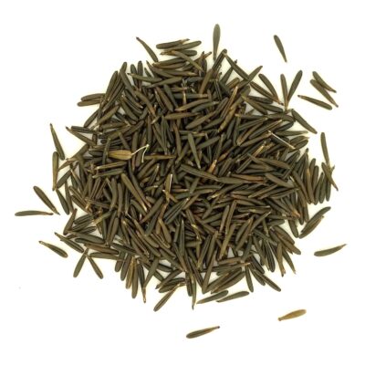 Trybula leśna miniaturka 2