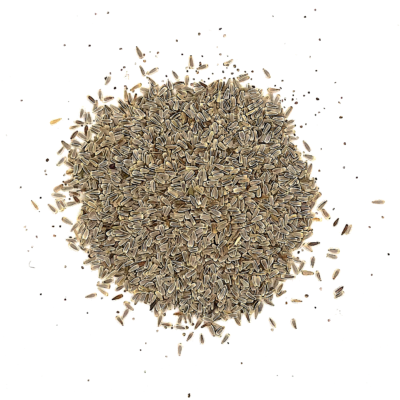 Krwawnik pospolity miniaturka 2