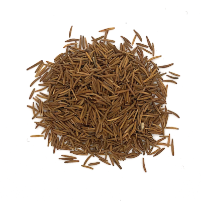 Pępawa dwuletnia miniaturka 2