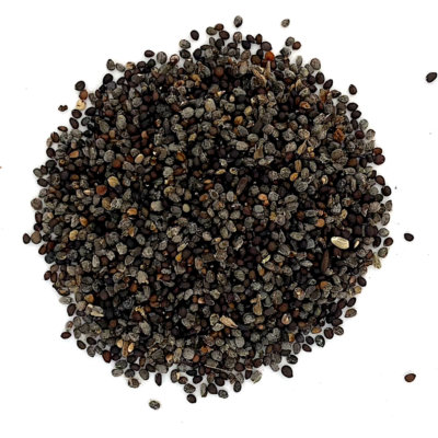 Szałwia omszona miniaturka 2