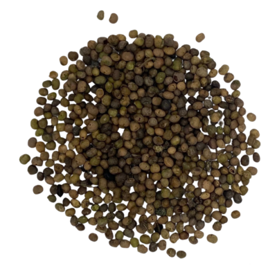 Dymnica pospolita miniaturka 2