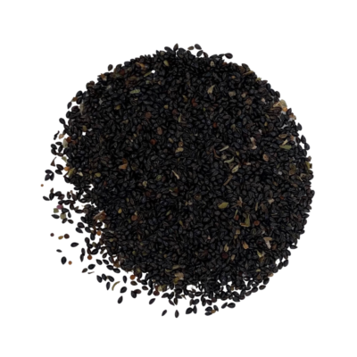 Niezapominajka polna miniaturka 2