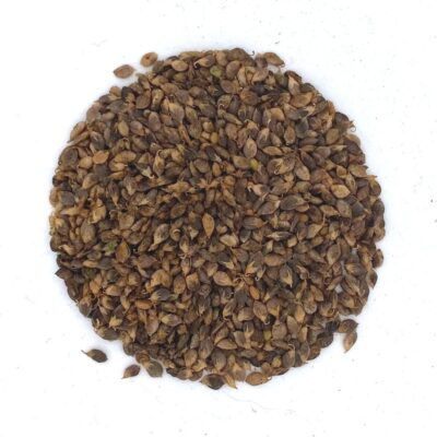 Nostrzyk biały miniaturka 2