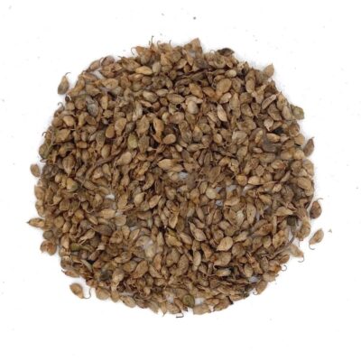 Nostrzyk żółty miniaturka 2