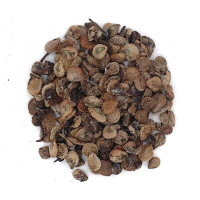 Ostrzeń pospolity miniaturka 2