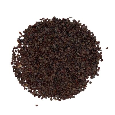 Pyleniec pospolity miniaturka 2