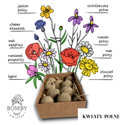 Bomby kwietne - chwasty miniaturka 2