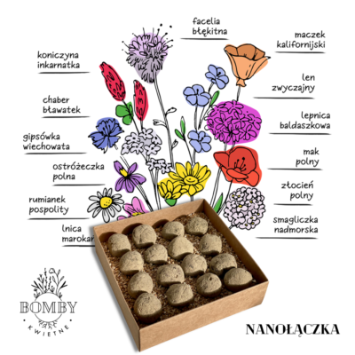Bomby kwietne - nanołączka miniaturka 2