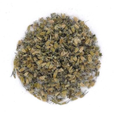 Driakiew gołębia miniaturka 2