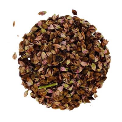 Rdest wężownik miniaturka 2