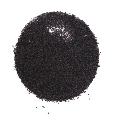 Smółka pospolita miniaturka 2