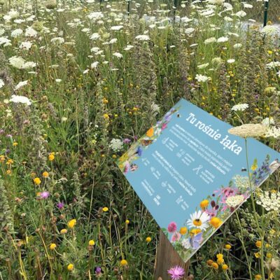 Tablica informacyjna na łąkę kwietną miniaturka 2
