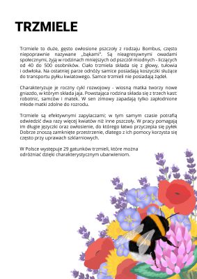 Łąka dla trzmieli miniaturka 6