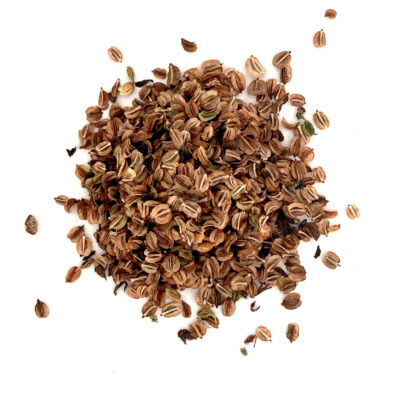 Olszewnik kminkolistny miniaturka 2