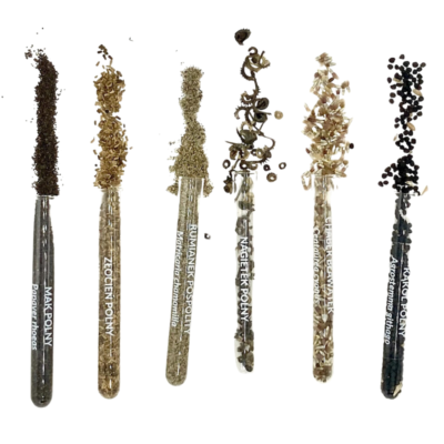 Zestaw nasion w fiolkach - chwasty polne miniaturka 2