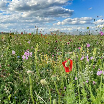 Mieszanka inwestycyjna BREEAM miniaturka 2