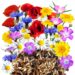 Kwiaty Polne ekonomiczne miniaturka 1