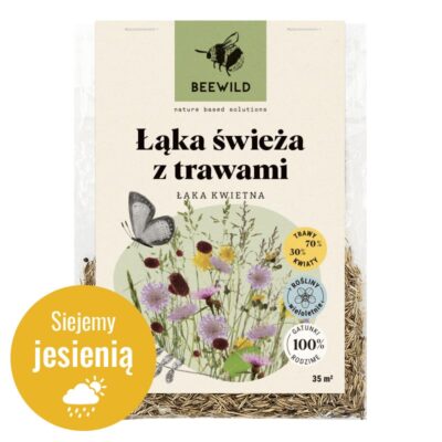 Łąka świeża z trawami miniaturka 1