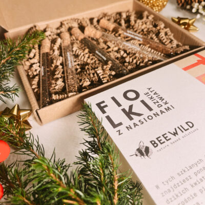 Zestaw nasion w fiolkach - chwasty polne miniaturka 3