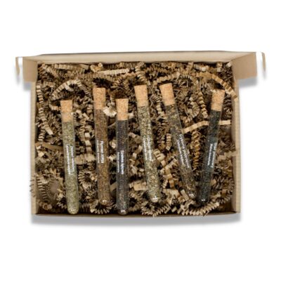 Zestaw nasion w fiolkach — dzikie kwiaty miniaturka 3