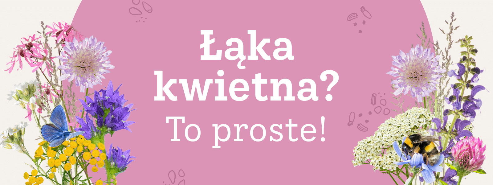 Łąka kwietna! To proste!