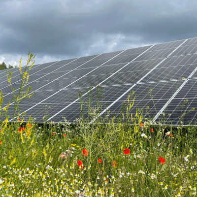 Łąka na farmy fotowoltaiczne miniaturka 2