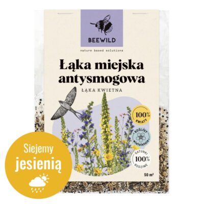 Łąka miejska antysmogowa