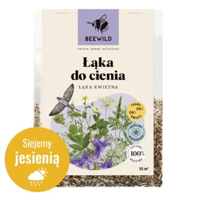 Łąka kwietna do cienia